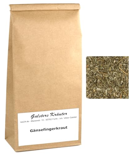 100g Gänsefingerkraut Tee Wildsammlung Anserine Potentilla anserina | Galsters Kräuter