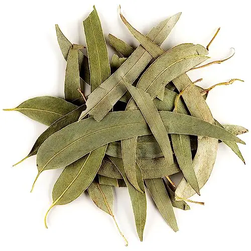 Eukalyptus Loseblatt Tee Biologischem Anbau – Eukalyptuskraut Tee Bio Eucalyptus Eukalyptus Tee Eukalyptus Bio Tee